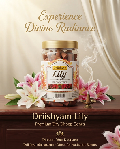 Lily Dhoop Cones